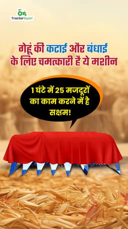 गेहूं की कटाई और बंधाई में किसान इस मशीन से बचाए लाखो रुपये, 1 घंटे में 25 मजदूरों कर सकती है काम! गेहूं की कटाई और बंधाई में किसान इस मशीन से बचाए लाखो रुपये, 1 घंटे में 25 मजदूरों कर सकती है काम!