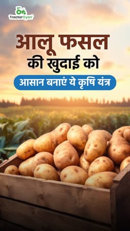 आलू फसल की खुदाई को आसान बनाएं ये कृषि यंत्र आलू फसल की खुदाई को आसान बनाएं ये कृषि यंत्र