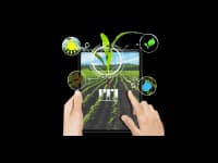 Agriculture News image Agriculture News image