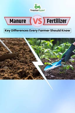 Manure vs Fertilizer: Key Differences Every Farmer Should Know Manure vs Fertilizer: Key Differences Every Farmer Should Know