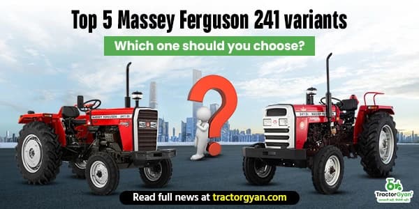 Top 5 Massey Ferguson 241 Variants: Which One Should You Choose? Top 5 Massey Ferguson 241 Variants: Which One Should You Choose? image