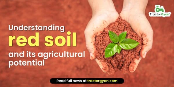 Understanding Red Soil and Its Agricultural Potential Understanding Red Soil and Its Agricultural Potential image