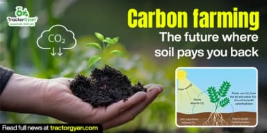 Carbon Farming: The Future Where Soil Pays You Back Carbon Farming: The Future Where Soil Pays You Back
