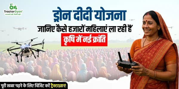 ड्रोन दीदी योजना: जानिए कैसे हजारों महिलाएं ला रही हैं कृषि में नई क्रांति ड्रोन दीदी योजना: जानिए कैसे हजारों महिलाएं ला रही हैं कृषि में नई क्रांति image