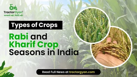 Rabi Crops and Zaid Crops seasons in India Rabi Crops and Zaid Crops seasons in India image