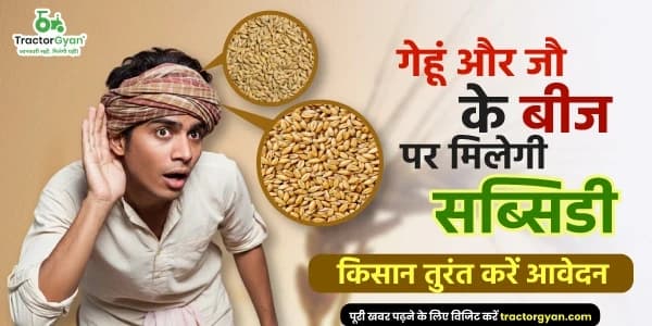 गेहूं और जौ के बीज पर मिलेगी सब्सिडी, किसान तुरंत करें आवेदन गेहूं और जौ के बीज पर मिलेगी सब्सिडी, किसान तुरंत करें आवेदन