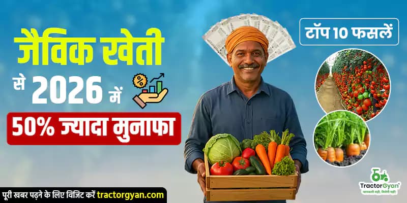 जैविक खेती से 2026 में 50% ज्यादा मुनाफा – टॉप 10 फसलें जैविक खेती से 2026 में 50% ज्यादा मुनाफा – टॉप 10 फसलें