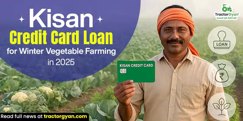 Kisan credit card loan for winter vegetable farming in India Kisan credit card loan for winter vegetable farming in India