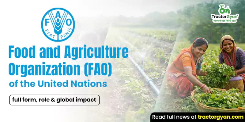 Food and agriculture organization of the United Nations: Full form, role & global impact Food and agriculture organization of the United Nations: Full form, role & global impact image