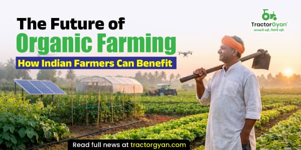 The future of organic farming: How Indian farmers can benefit The future of organic farming: How Indian farmers can benefit