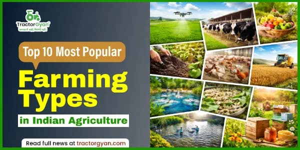 Top 10 most popular farming types in Indian agriculture Top 10 most popular farming types in Indian agriculture image