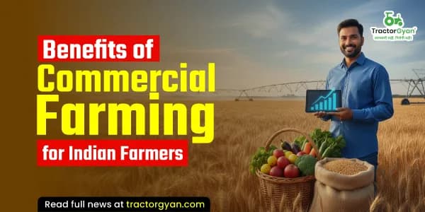 Benefits of commercial farming for Indian farmers Benefits of commercial farming for Indian farmers