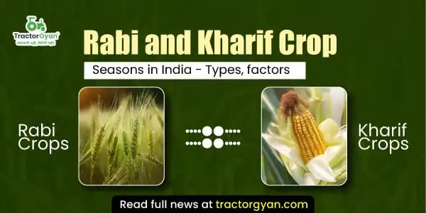 Rabi and Kharif Crop seasons in India – Types, factors Rabi and Kharif Crop seasons in India – Types, factors image