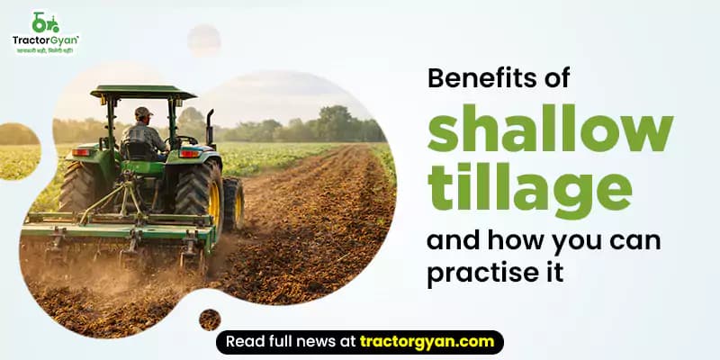Benefits of shallow tillage and how you can practise It Benefits of shallow tillage and how you can practise It image