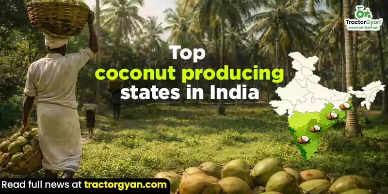Top 10 coconut producing states in India Top 10 coconut producing states in India image