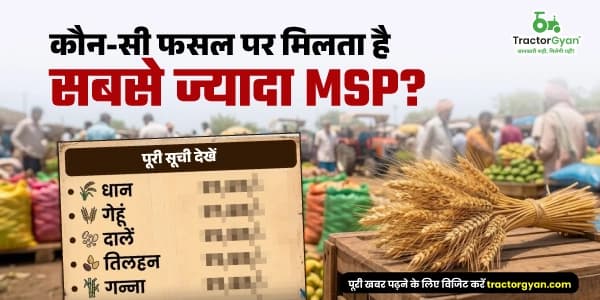 कौन-सी फसल पर मिलता है सबसे ज्यादा MSP? पूरी सूची देखें कौन-सी फसल पर मिलता है सबसे ज्यादा MSP? पूरी सूची देखें