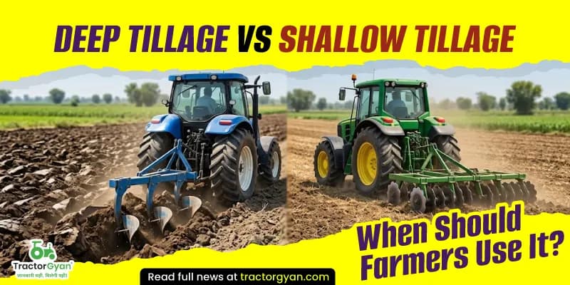 Deep tillage vs shallow tillage - When should farmers use it? Deep tillage vs shallow tillage - When should farmers use it?