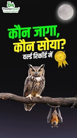 Tractor Gyan & Mahindra’s 24 Hours Non-Stop Threshing World Record BTS Video Tractor Gyan & Mahindra’s 24 Hours Non-Stop Threshing World Record BTS Video