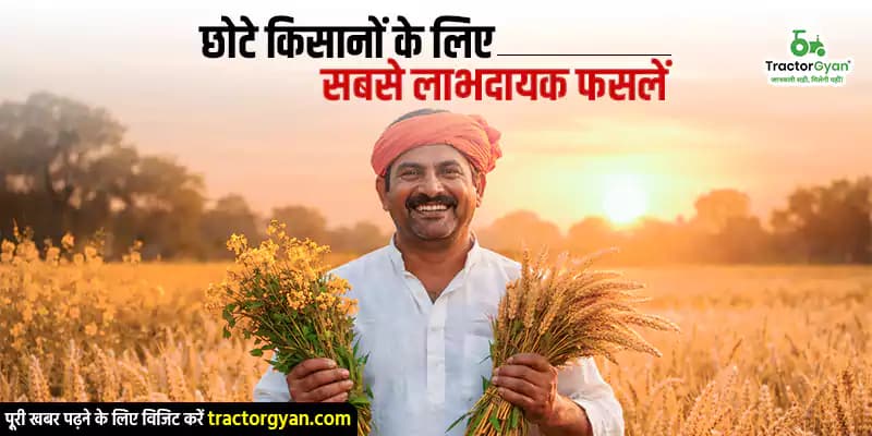 छोटे किसानों के लिए सबसे लाभदायक फसलें छोटे किसानों के लिए सबसे लाभदायक फसलें image
