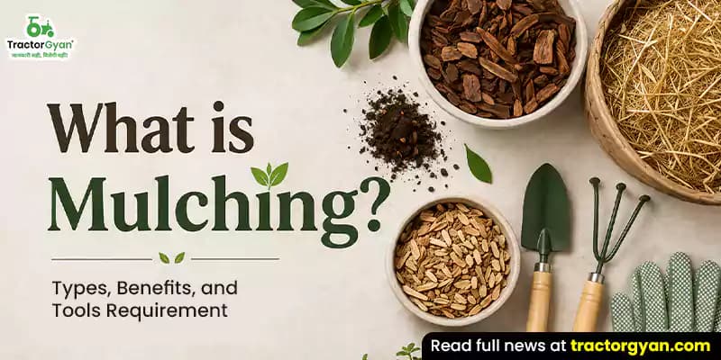 What is Mulching? Types, benefits, and tools required What is Mulching? Types, benefits, and tools required image