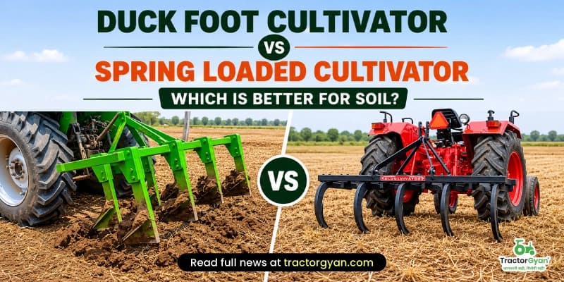 Duck Foot Cultivator vs Spring Loaded Cultivator: Which one is best for your soil? Duck Foot Cultivator vs Spring Loaded Cultivator: Which one is best for your soil?