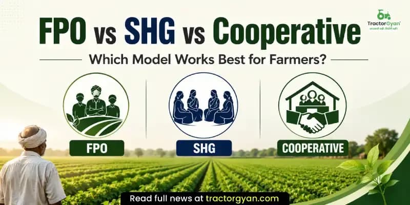 FPO vs SHG vs Cooperative: Which model works best for farmers? FPO vs SHG vs Cooperative: Which model works best for farmers?