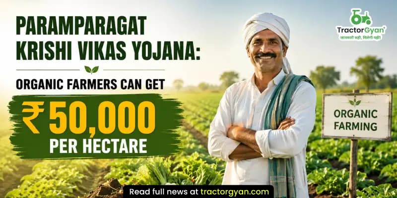 Paramparagat Krishi Vikas Yojana (PKVY): How Organic Farmers Can Get ₹50,000 Per Hectare Paramparagat Krishi Vikas Yojana (PKVY): How Organic Farmers Can Get ₹50,000 Per Hectare image