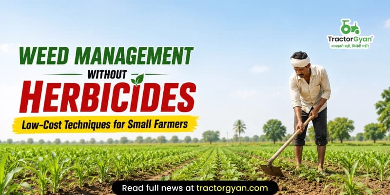 Weed management without herbicides: Low-cost techniques for small farmers Weed management without herbicides: Low-cost techniques for small farmers