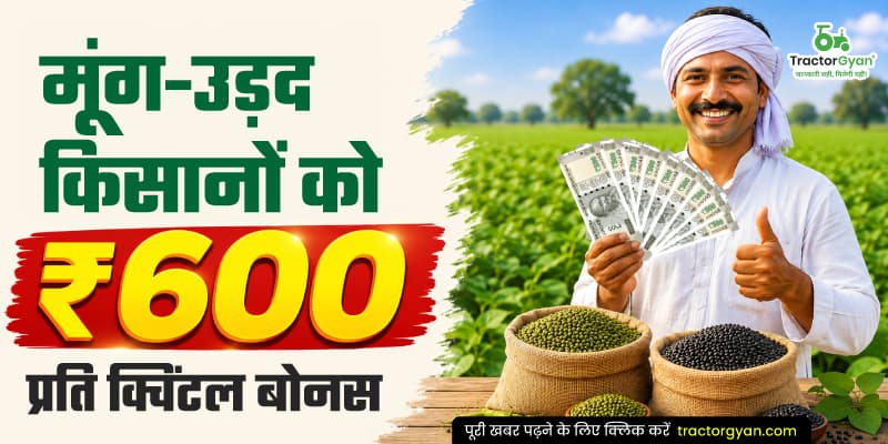 मूंग-उड़द किसानों को ₹600 प्रति क्विंटल बोनस मूंग-उड़द किसानों को ₹600 प्रति क्विंटल बोनस