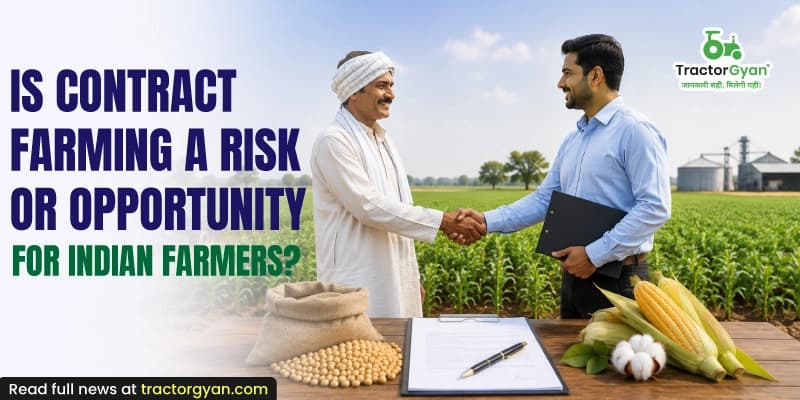 Is contract farming a risk or opportunity for Indian farmers? Is contract farming a risk or opportunity for Indian farmers?