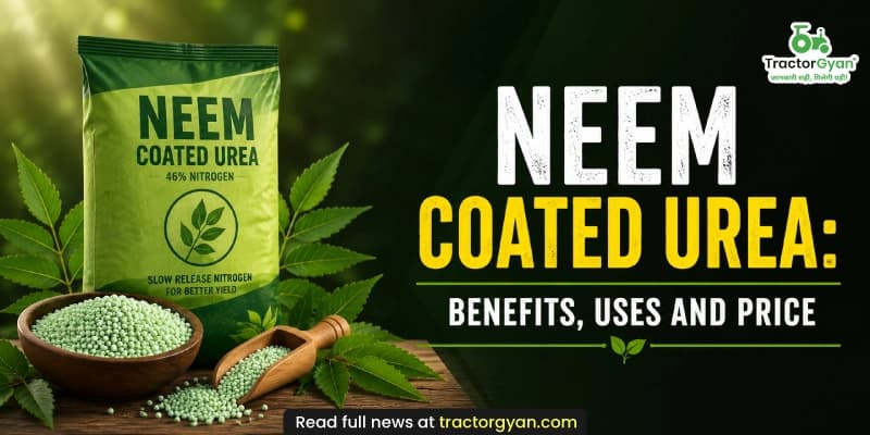 Neem coated urea: Benefits, uses and price Neem coated urea: Benefits, uses and price