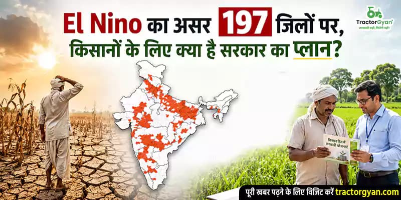 El Nino का असर 197 जिलों पर, किसानों के लिए क्या है सरकार का प्लान? El Nino का असर 197 जिलों पर, किसानों के लिए क्या है सरकार का प्लान? image