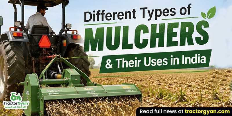 Different types of Mulchers & their uses in India Different types of Mulchers & their uses in India