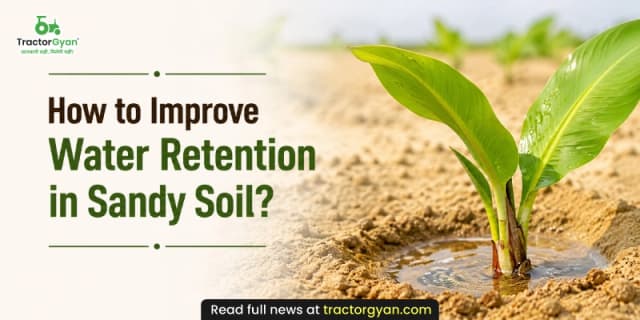 How to improve water retention in sandy soil? How to improve water retention in sandy soil? image