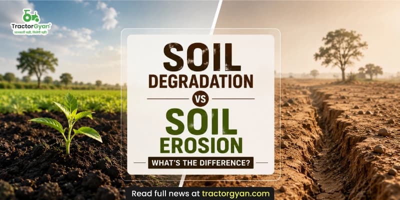 Soil degradation vs soil erosion: What's the difference? Soil degradation vs soil erosion: What's the difference? image