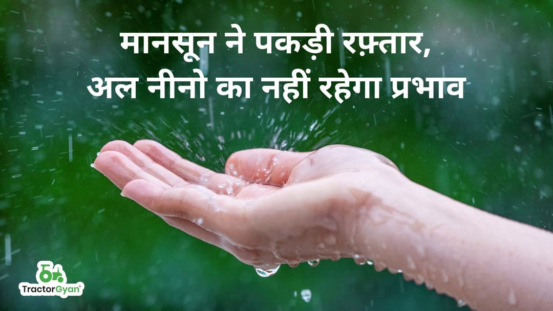 मानसून ने पकड़ी रफ़्तार, अल नीनो का नहीं रहेगा प्रभाव मानसून ने पकड़ी रफ़्तार, अल नीनो का नहीं रहेगा प्रभाव