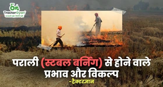 Stubble Burning: Effects & Alternatives of Stubble Burning | Tractorgyan Stubble Burning: Effects & Alternatives of Stubble Burning | Tractorgyan image